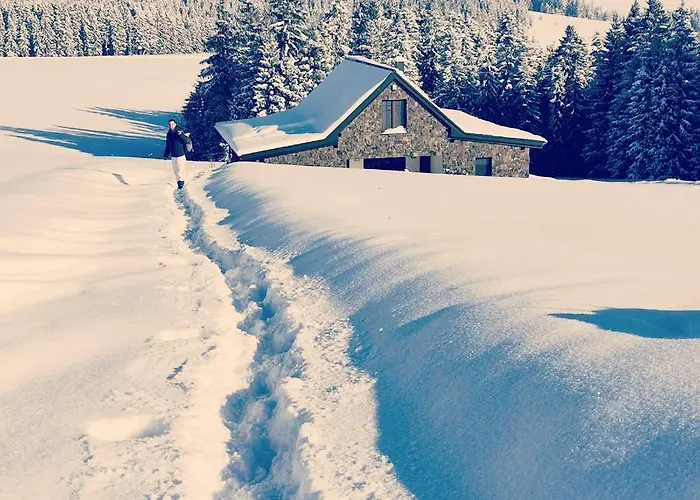 Hacienda Na Orave 山林小屋 Novot